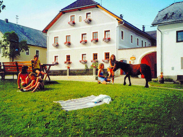 Jakob kann es nicht lassen.