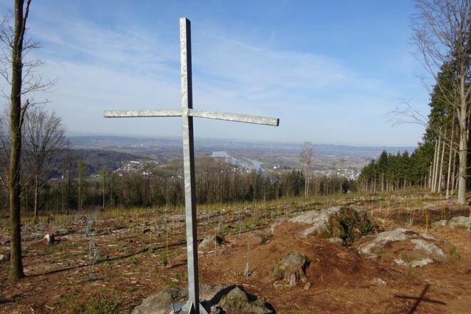 Hoher Dürnberg (549 m)
