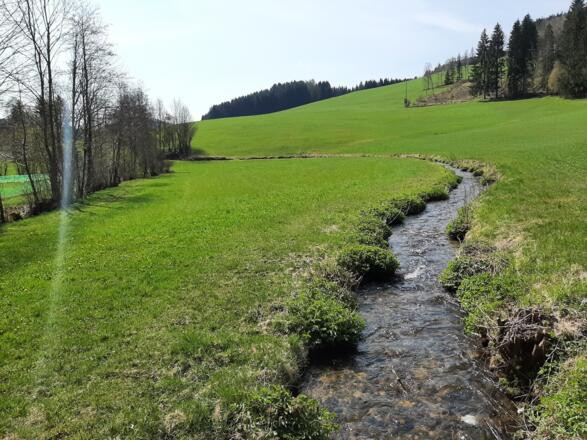 Idyllische Landschaft entlang des Weges