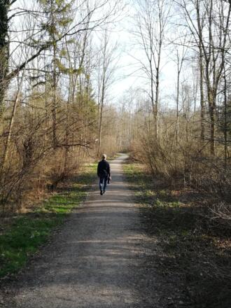 Zwischen Mühlbach und Isar in den Isarauen bei Niederhummel