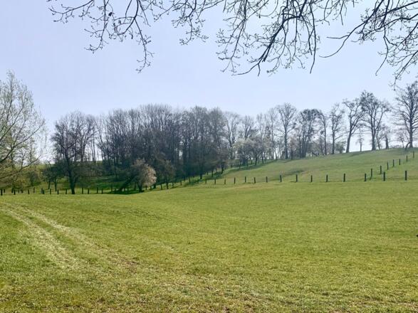 Die sanfte Hügellandschaft der Scharten