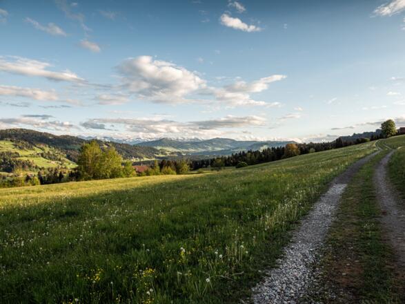 Scheffau - Aussicht in den Bregenzer Wald