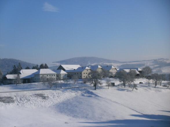 Ein idylisches Dorf im Winter