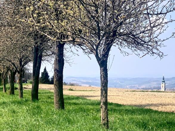 Wallfahrtskirche Maria Scharten