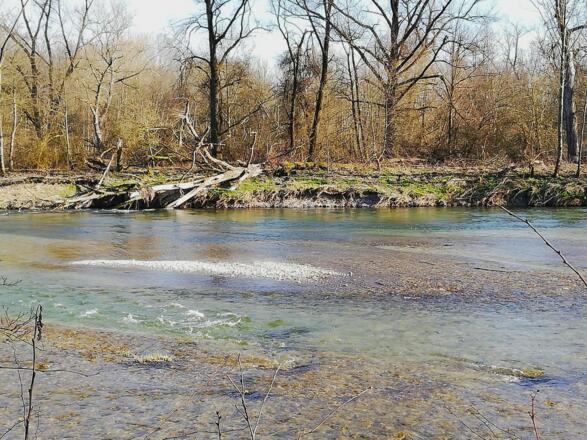 An der Isar bei Niederhummel