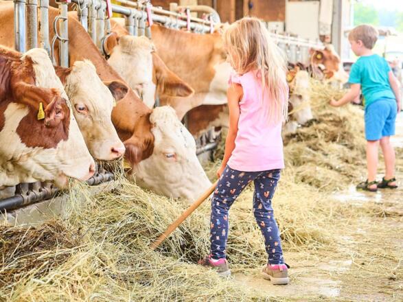 PP_NEUSTIFT_220704_2882