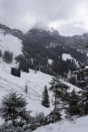 Gipfelblick von der Spitzingscheibe zum Wendelstein