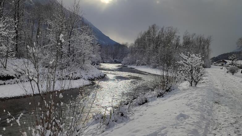 Moosgarten-Rundweg - Winter
