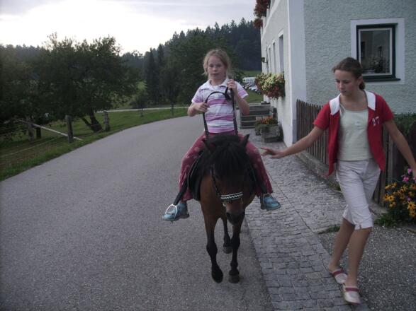Die kleinen Gaeste koennen auf Jakob auch reiten