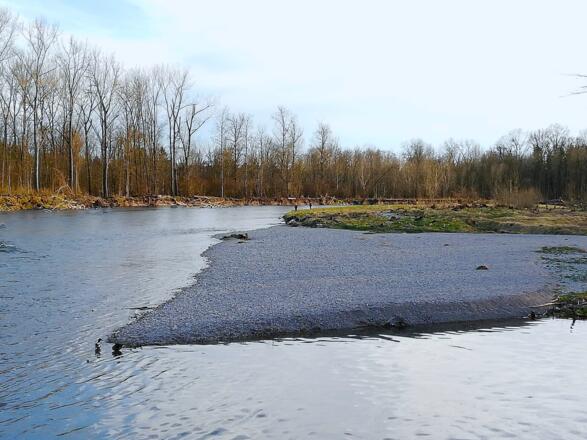 Kiesbank in der Isar im Naturschutzgebiet Isarauen