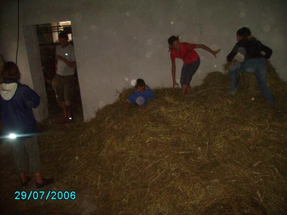 zur Abwechslung auch mal im Heu herumtollen