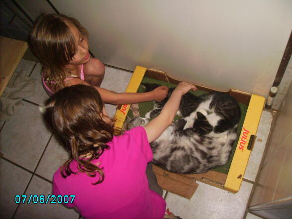 Alle Jahre bekommen wir kleine Kaetzchen