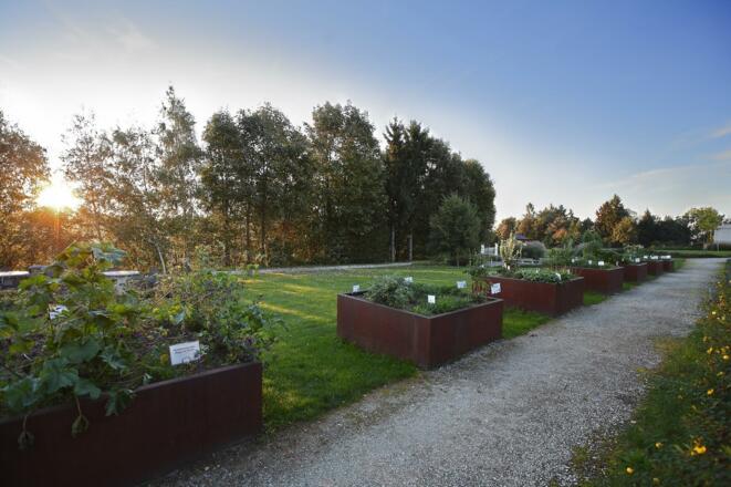 Kräutergarten