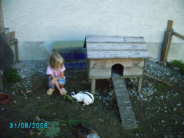 Unsere Zwerghasen lassen sich gerne fuettern