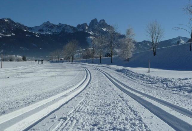 Langlaufen im Tannheimer Tal. Loipeneinstieg 3 Gehminuten vom Hotel entfernt.
