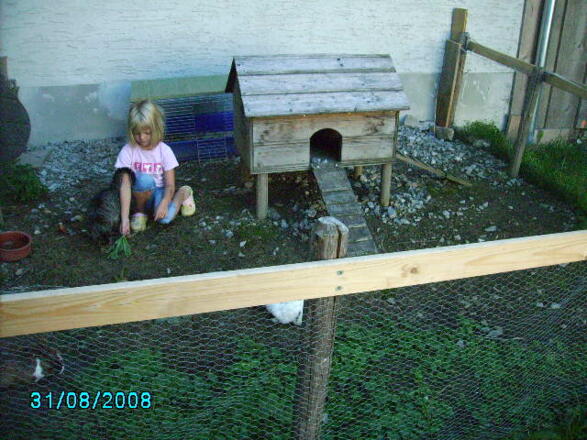 Hasen füttern gehört auch zu den täglichen Aufgaben