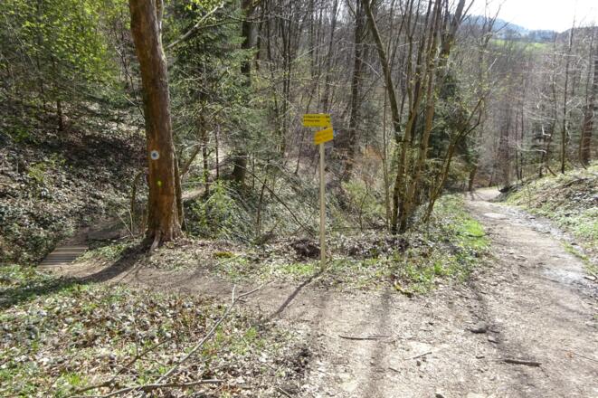 Links über die Holzbrücke