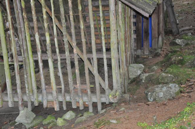 #5 Cache (Tauferbergrunde)