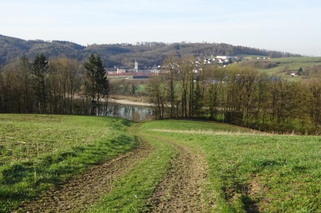 Erste Ausblicke zum Stift Wilhering