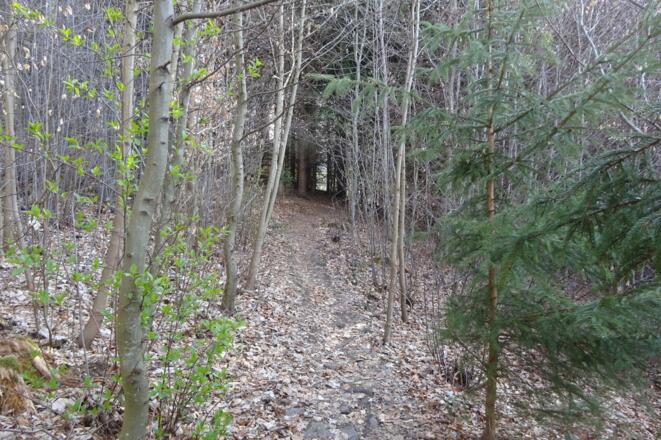 Idyllischer Weg hinauf zum Köglerhof