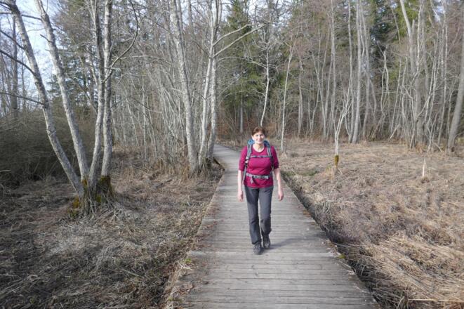 Die Steganlage verhindert, dass man im Naturschutzgebiet nasse Füße bekommt.