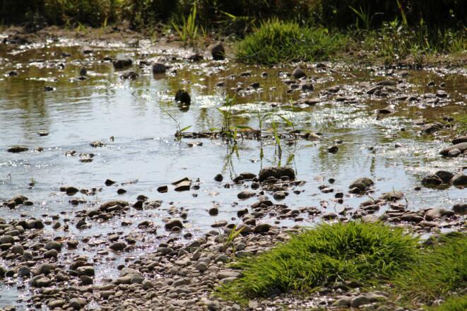 Der Mindel im Kneippland Unterallgäu ganz nahe kommen