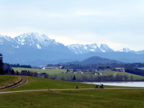 Zum Teil folgt die Wanderroute nach Henndorf dem beliebten Wallersee-Radweg.