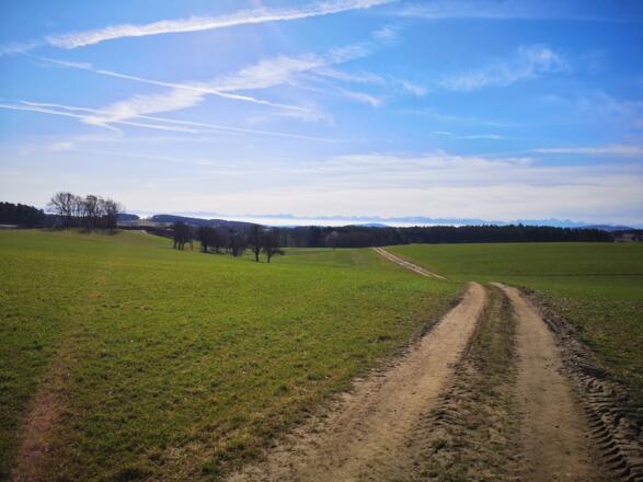 Weitblick bis in die Alpen