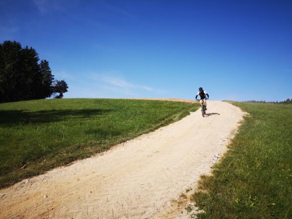 Gutau_Kern Franz (2)