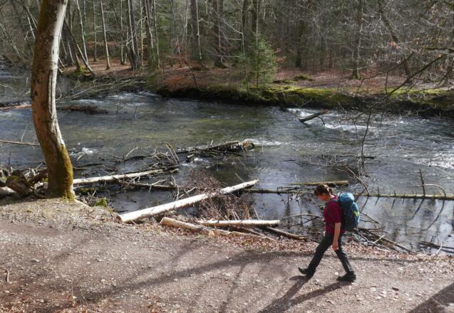 Teilweise führt die Wanderroute direkt am Flusswasser entlang.