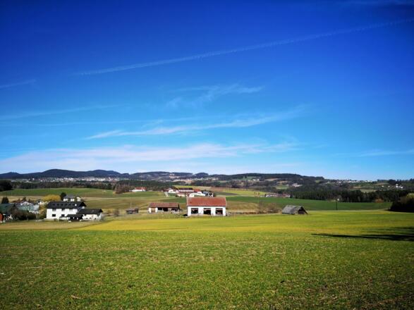 Ausblick von Spattendorf Richtung Alberndorf, Pröselsdorf und Loitzendorf