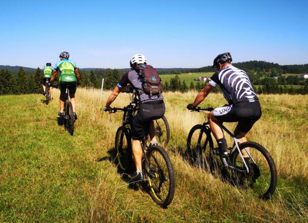 Sandl (c) Kern Franz (4)