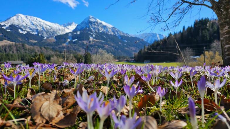 Ausblick im Frühling
