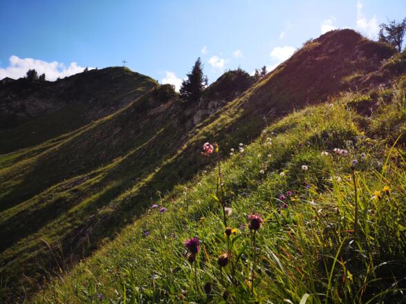 Blick zurück auf den Gipfel der Gerenspitze
