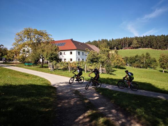 Gutau_Kern Franz (1)