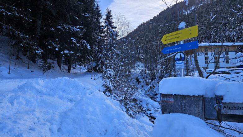 Start - Vor der Brücke links auf den Winterweg