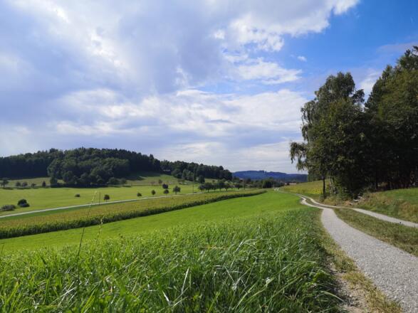 Blick auf Wintersdorf/Roadlberg