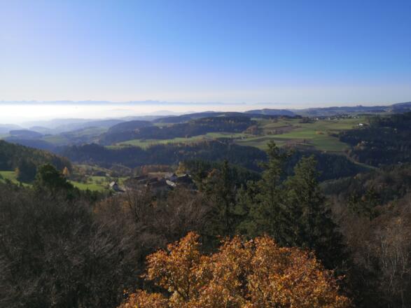 Blick bis in die Alpen vom Aussichtsturm am Roadlberg