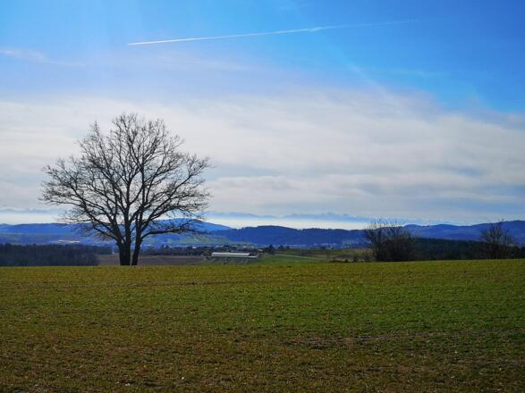 Aussicht Richtung Gallneukirchen und Alpenblick