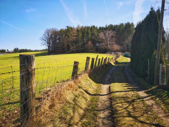 Weg zur Kapelle Maria im Föhrenwald