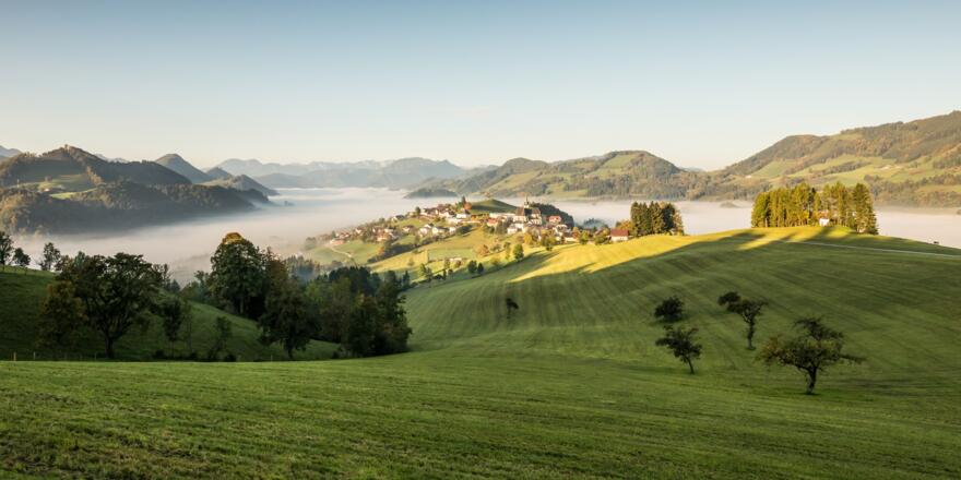 Blick auf Maria Neustift