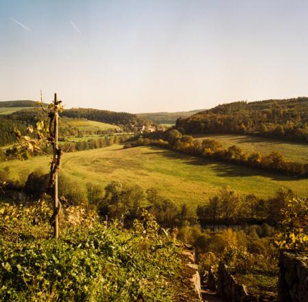 Blick von Satzenberg nach Bronnbach