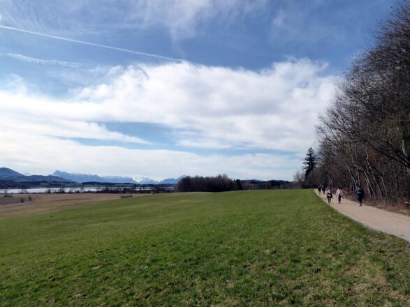 Der sonnige Weg nähert sich der Wallersee-Ostbucht.