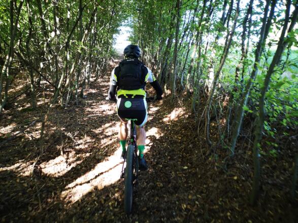 Gutau_Kern Franz (4)