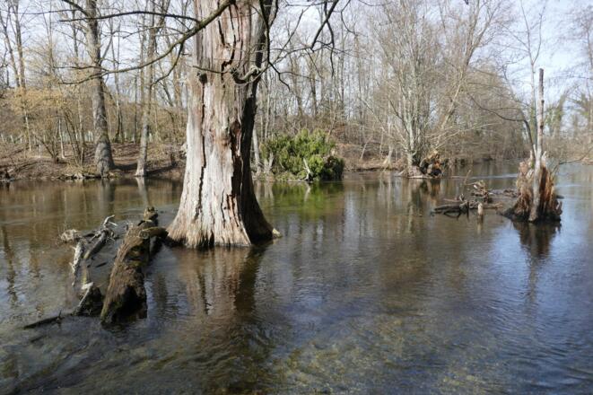 Flussimpression der Würm südlich von Gauting