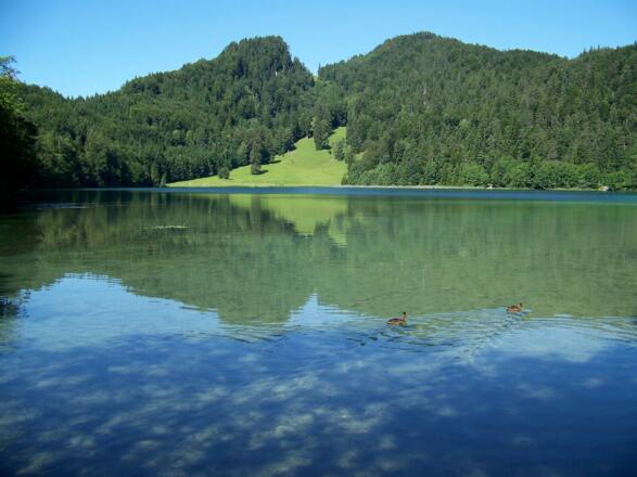 Blick über den Alatsee