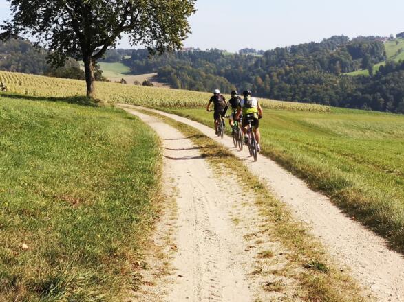 Gutau_Kern Franz (7)