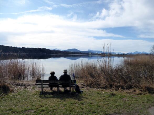 Die Stille in der Wallersee-Ostbucht.