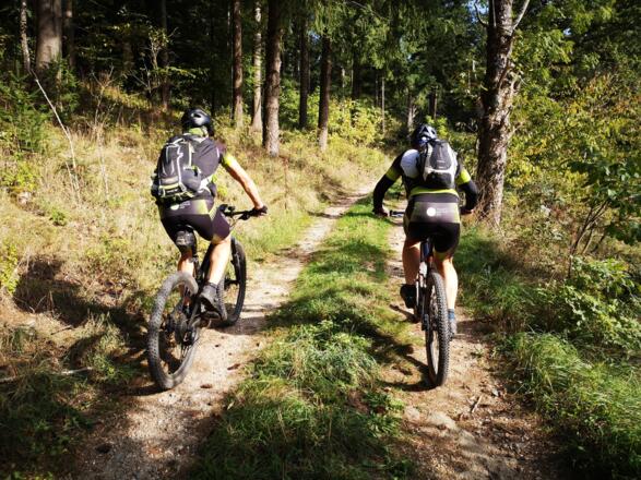 Gutau_Kern Franz (11)