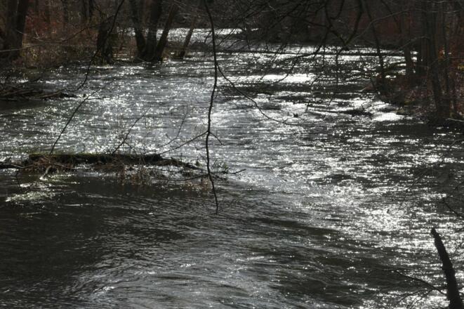 Das Sonnenlicht spiegelt sich auf der Wasseroberfläche.